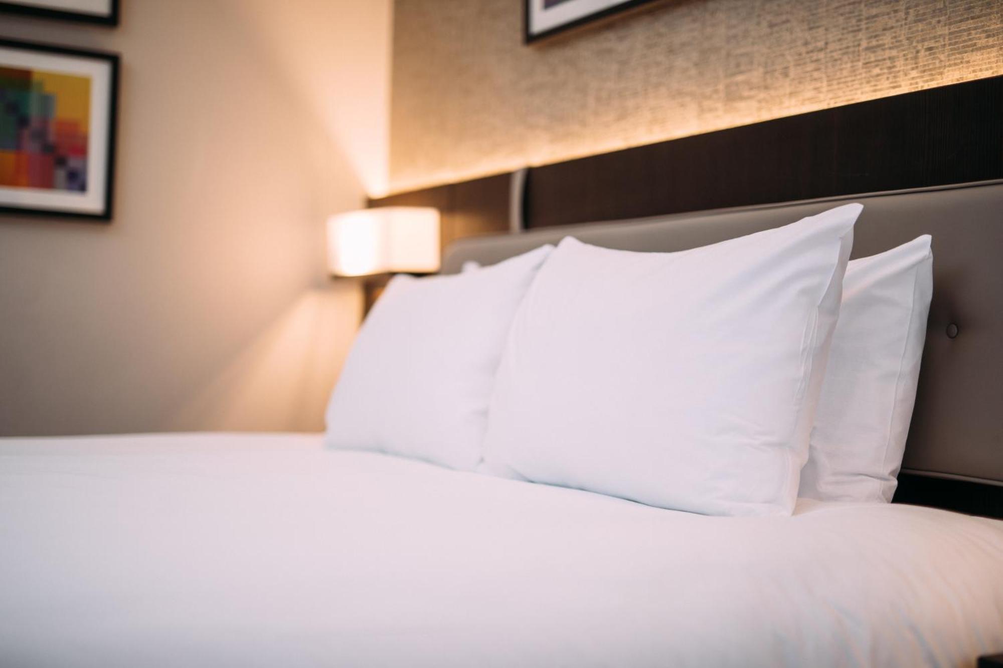 Crowne plaza hotel pillows best sale